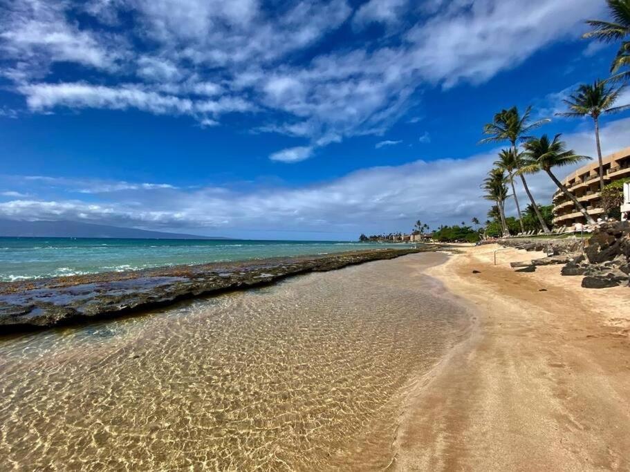 Oceanfront With Aircon-Hear The Waves-Amazing Views-Wifi Lejlighed Lahaina Eksteriør billede